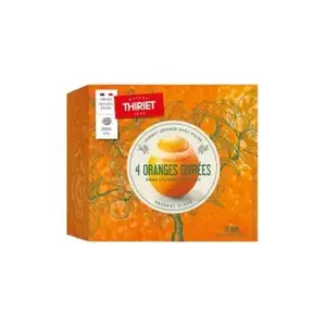 Thiriet oranges givrés 4x75g