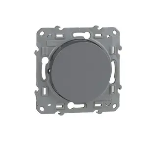 Interrupteur Simple Allumage 10A. Odace Gris
