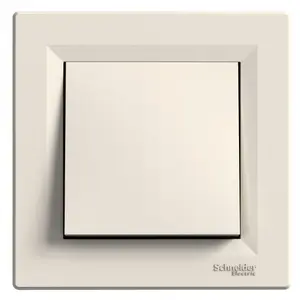 Interrupteur Simple Allumage