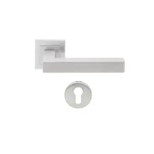 Paire De Bequille Dorma Cyl Inox 304 - Dsq901 Cyl