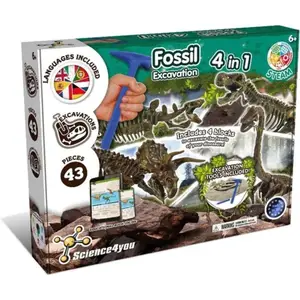 Fossil Excavation