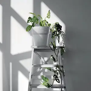 Pot De Fleur Furu Rond Blanc 275Mm