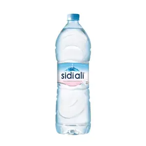 Sidi Ali Eau minérale 1L