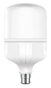Lampe Led High Power 30W B22B