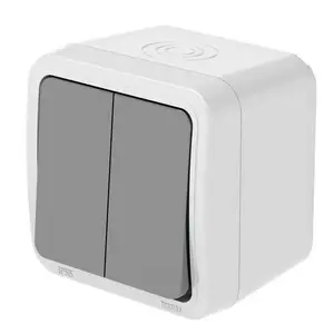 Double Allumage Gris Foncé Tropic Ip55 Apparent