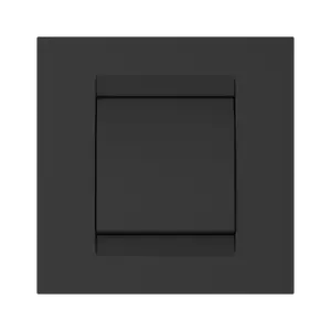 Plaque Simple Anthr Karla