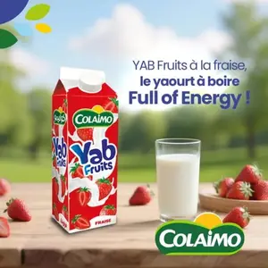Yaoûrt à boire de fraise et framboise 260g - COLAIMO