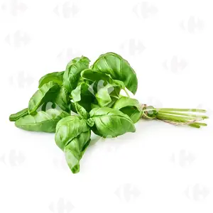 Basilic Vert en Sachet 25g