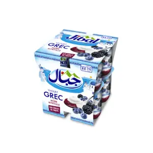 JIBAL Yaourt Grec Coulis Mûre & Myrtille – Pack 8 x 110g