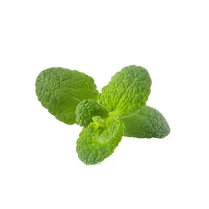 Menthe Pomme à La Pièce