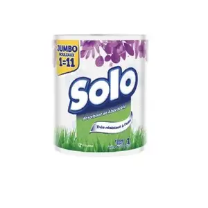 Essuie tout Jumbo absorbant 2 plis 1 rouleaux = 11 - SOLO