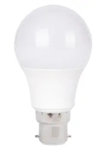 Lampe Led A65 E27 12W Alum 6500K Kg