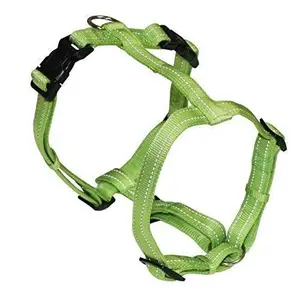 Harnais Pour Chien