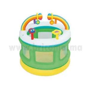 Aire De Jeux Gonflable