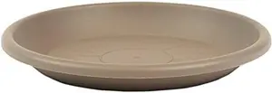 Soucoupe Media 24Cm Tourterelle