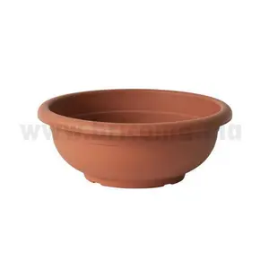 Coupe Olimpo