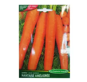 Carotte Nantaise Amelioree Art 038