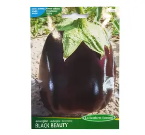 Aubergine Black Beauty Sachet De 4 Gr Art 246