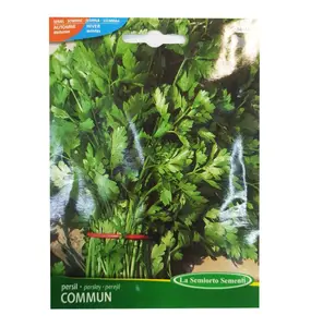 Persil Commun Sachet De 10 Gr Art 344