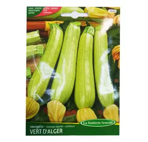 Courgette Verte D'Alger Art 383