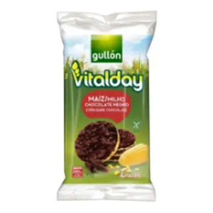 Galettes nappé chocolat noir 2x4 - GULLON