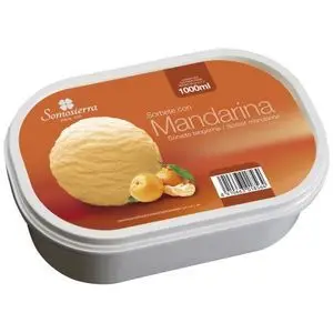 somosierra bac de crème glacée sorbet mandarine 600g