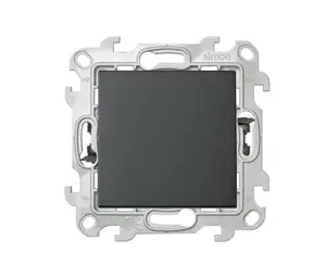 Interrupteur Simple - S24 Graphite
