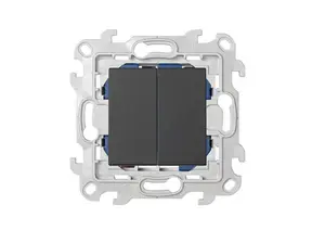 Double Interrupteur - S24 Graphite