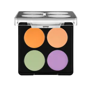 CAMOUFLAGE PALETTE - Nouveau