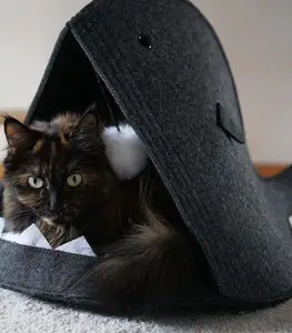 Niche Pour Chat 2Ass