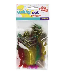 Set De 25 Plumes Diverses