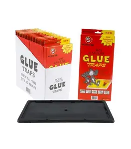 Piège À Colle Pour Rats Et Souris
