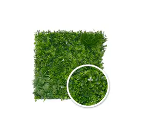 Mur Vegetal Liseron 1X1M