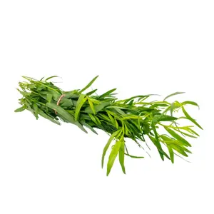 Estragon 25g