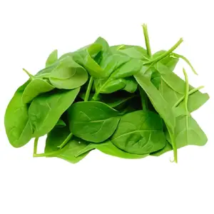 Pousse d'Épinard 100g