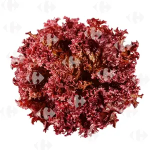 Lollo Rouge 150g