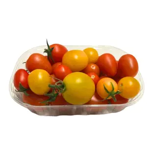 Tomate Cerise Mélange Barquette 1 unité