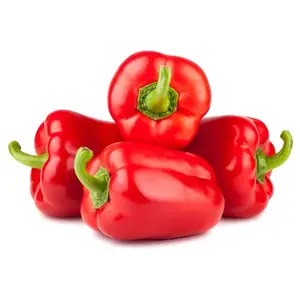 Poivron Rouge Kappy Carton 500g