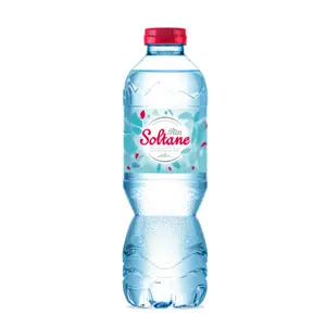 Ain Soltane Eau Minérale 50cl