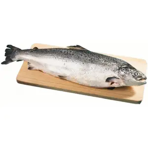 Saumon 1-2kg