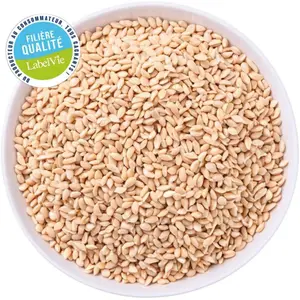 Graines de Sésame 250g - Filière Qualité
