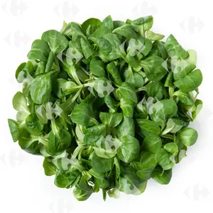 Mâche 250g
