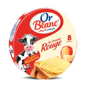 Fromage Fondu À L'Edam 8 Portions - Or Blanc