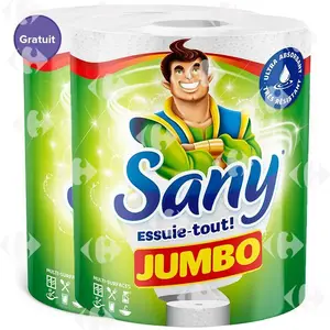 Sany Sany Essuie Tout Maxi Regulier ( 2rlx  1 Grt)