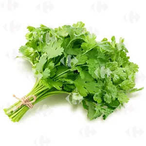 Coriandre 250g.