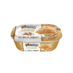 Adélie bac de crème glacée caramel fleur de sel de Guérande 501g