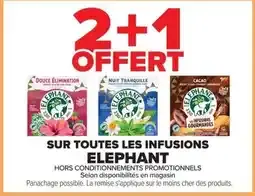 ELEPHANT Infusions