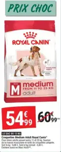 Royal Canin Croquettes Medium Adult