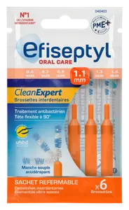 BROSSETTES CLEAN EXPERT 1.1MM EFISEPTYL