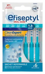 BROSSETTES CLEAN EXPERT 1.3 MM EFISEPTYL
